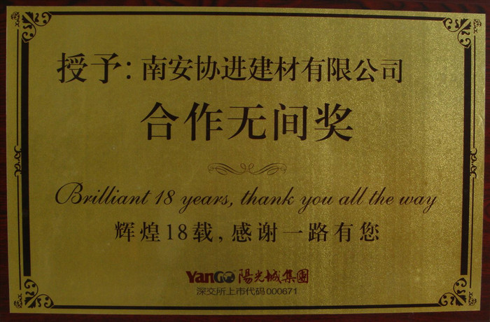 陽光城集團(tuán)——合作無間獎(jiǎng)